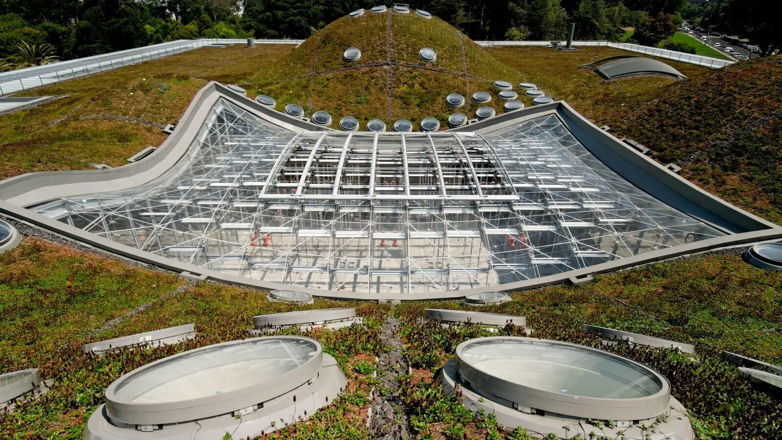 The curvilinear grass and glass roof of the California Academy of Sciences green roof.